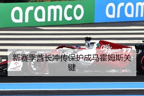 新赛季酋长冲传保护成马霍姆斯关键